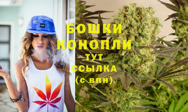 PSILOCYBIN Бронницы